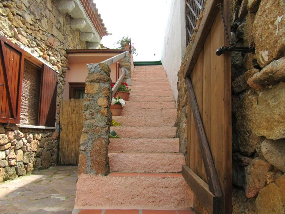 Apartment Bellissimo A 250metri Dal Mare.